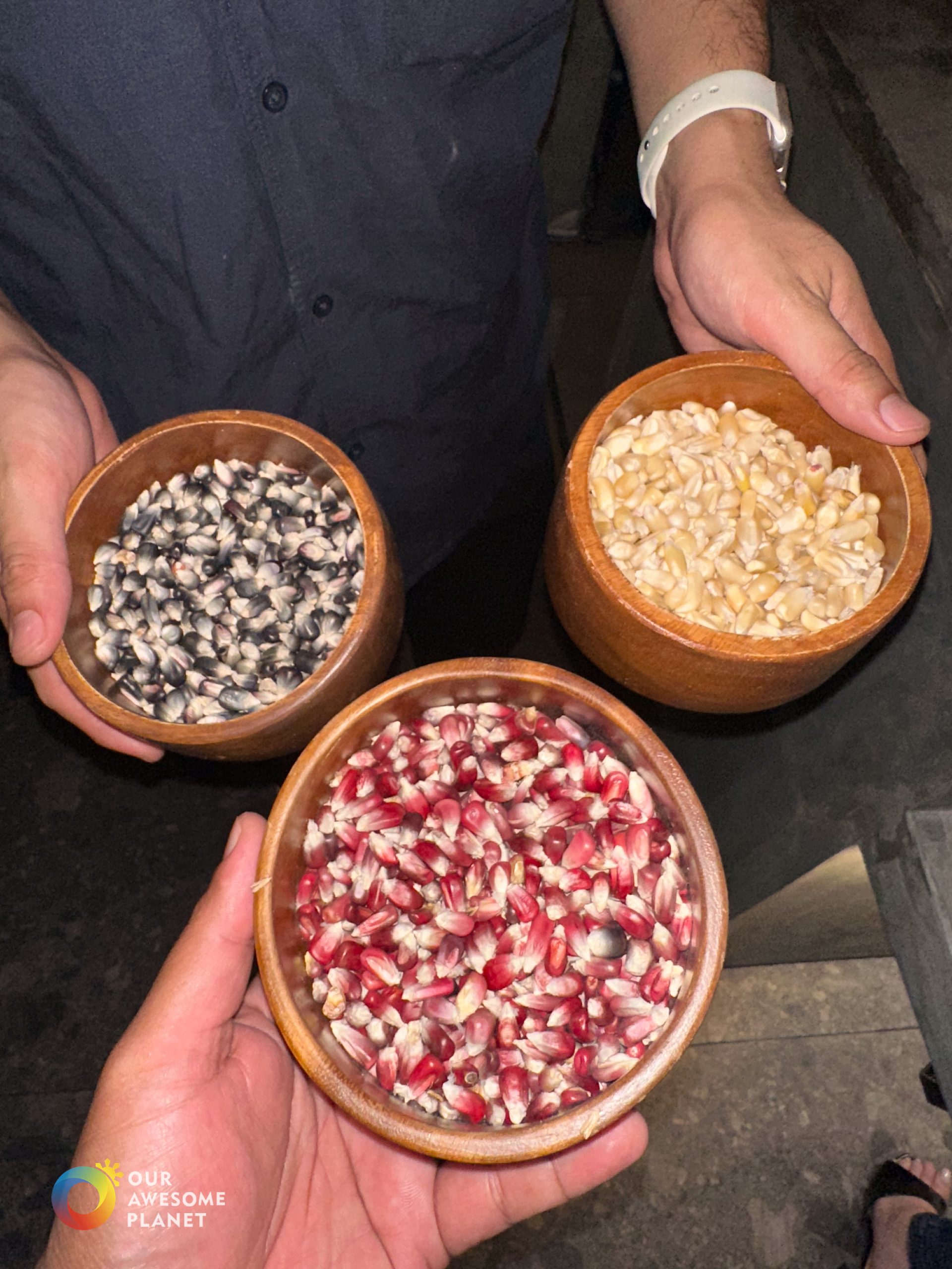 Three varieties of Mexican corn kernels in wooden bowls - blue, white, and red